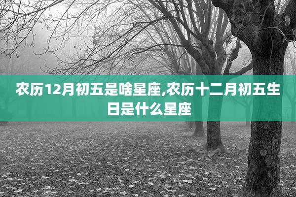 农历12月初五是啥星座,农历十二月初五生日是什么星座