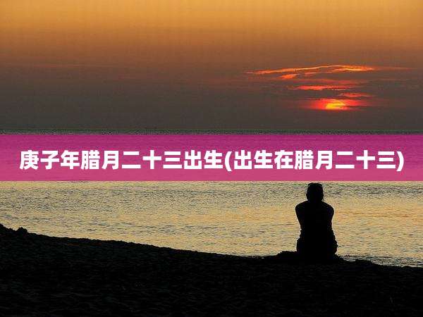 庚子年腊月二十三出生(出生在腊月二十三)
