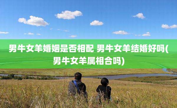 男牛女羊婚姻是否相配 男牛女羊结婚好吗(男牛女羊属相合吗)