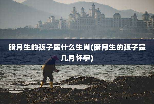 腊月生的孩子属什么生肖(腊月生的孩子是几月怀孕)