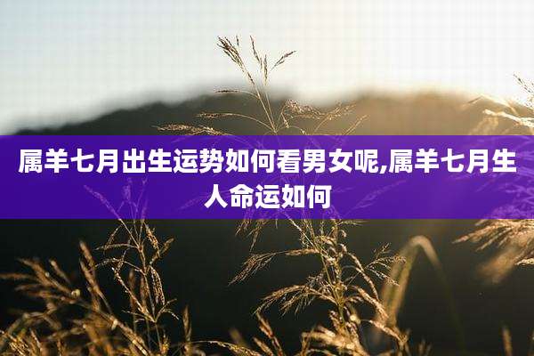 属羊七月出生运势如何看男女呢,属羊七月生人命运如何