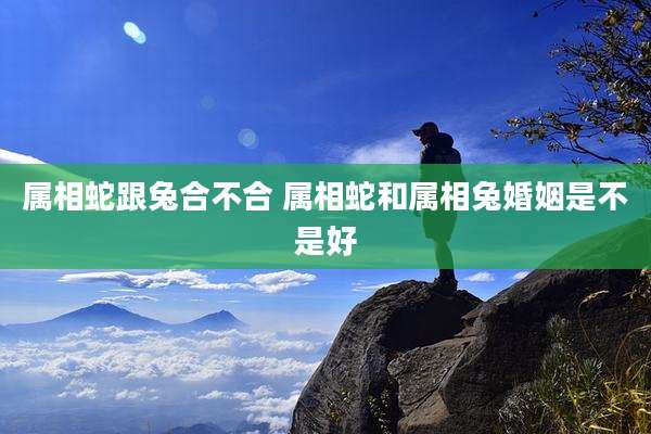 属相蛇跟兔合不合 属相蛇和属相兔婚姻是不是好