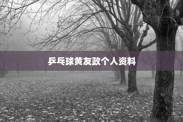 乒乓球黄友政个人资料
