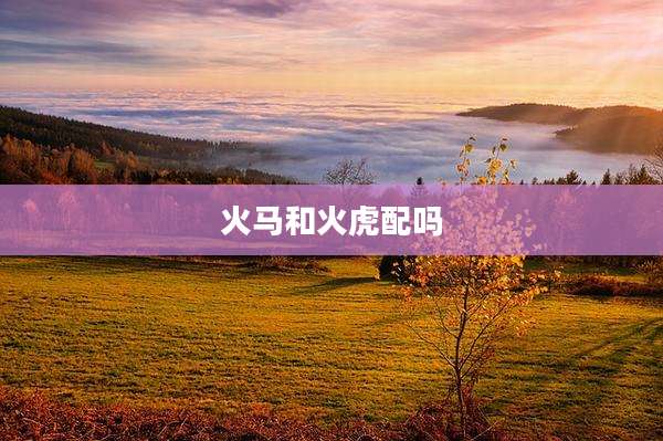 火马和火虎配吗