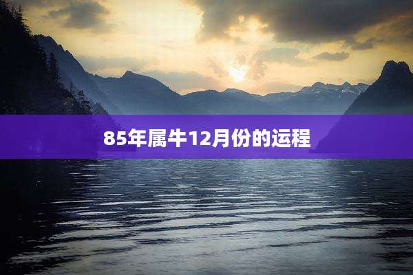 85年属牛12月份的运程