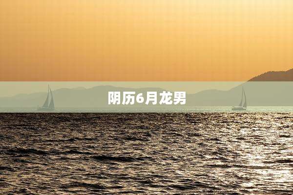 阴历6月龙男
