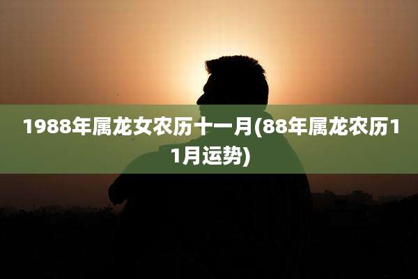1988年属龙女农历十一月(88年属龙农历11月运势)