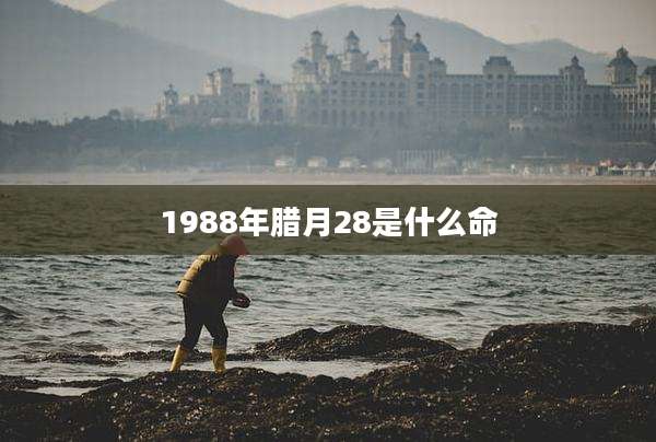 1988年腊月28是什么命