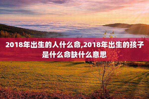 2018年出生的人什么命,2018年出生的孩子是什么命缺什么意思