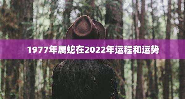 1977年属蛇在2022年运程和运势