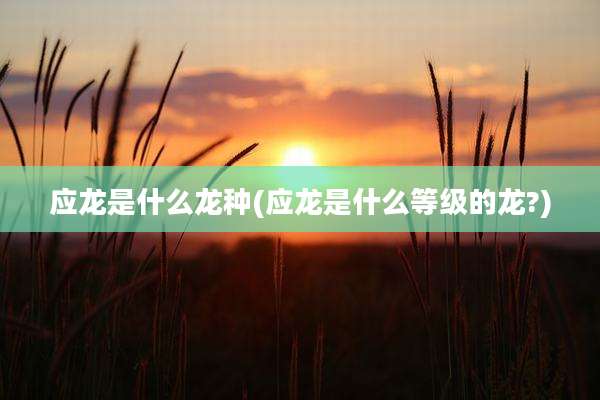 应龙是什么龙种(应龙是什么等级的龙?)