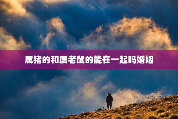 属猪的和属老鼠的能在一起吗婚姻
