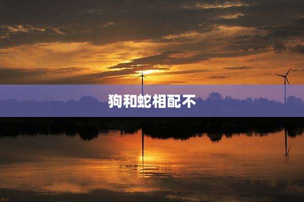 狗和蛇相配不