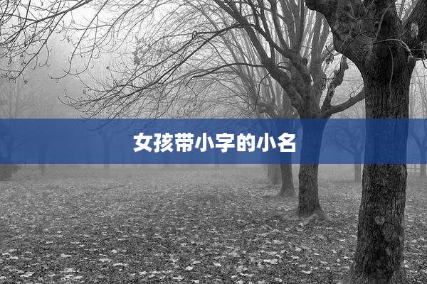 女孩带小字的小名