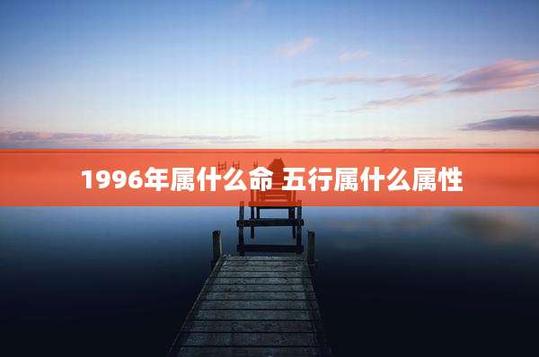 1996年属什么命 五行属什么属性
