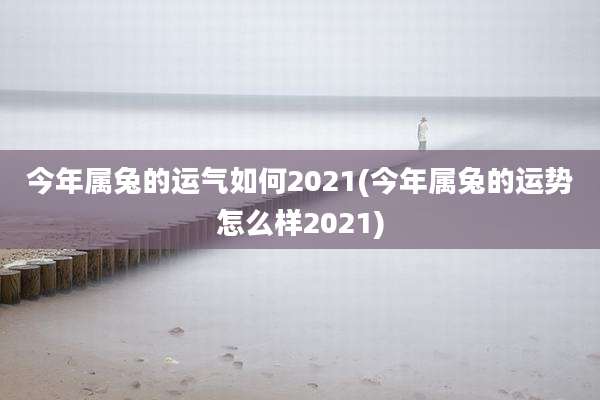 今年属兔的运气如何2021(今年属兔的运势怎么样2021)
