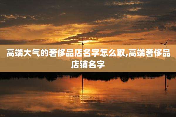 高端大气的奢侈品店名字怎么取,高端奢侈品店铺名字