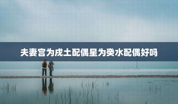 夫妻宫为戌土配偶星为癸水配偶好吗