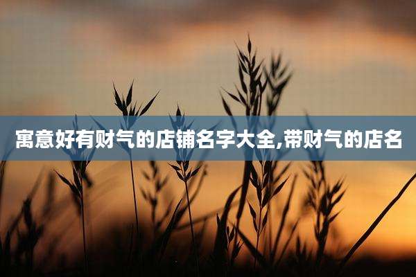 寓意好有财气的店铺名字大全,带财气的店名