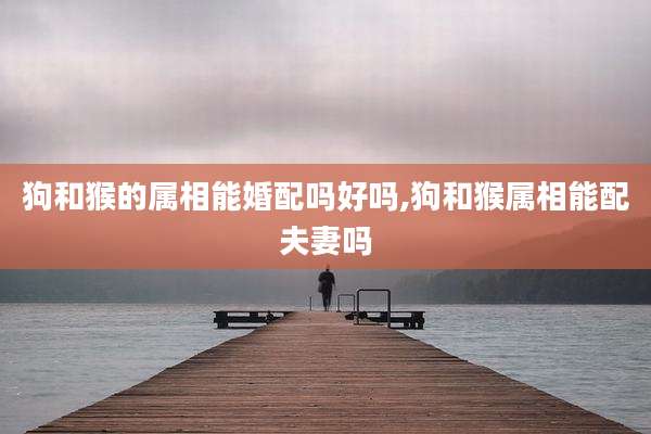 狗和猴的属相能婚配吗好吗,狗和猴属相能配夫妻吗