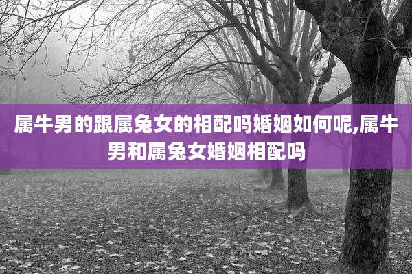 属牛男的跟属兔女的相配吗婚姻如何呢,属牛男和属兔女婚姻相配吗
