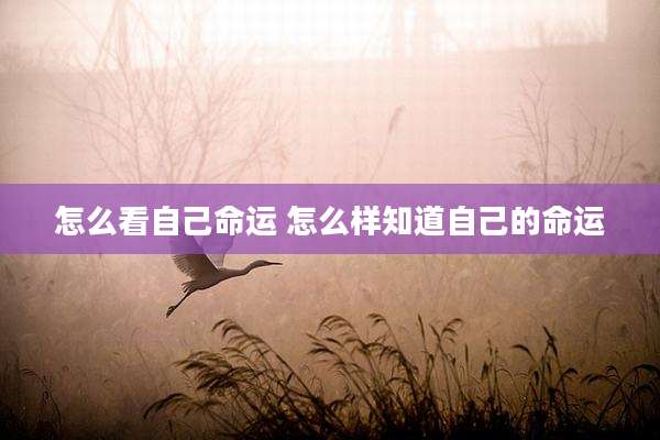 怎么看自己命运 怎么样知道自己的命运