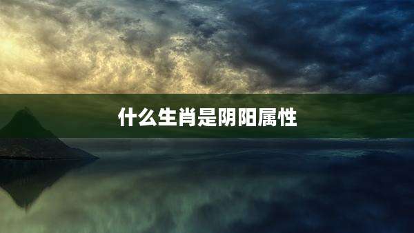 什么生肖是阴阳属性