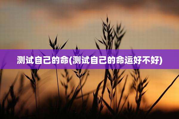 测试自己的命(测试自己的命运好不好)