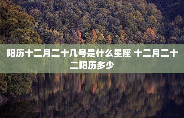 阳历十二月二十几号是什么星座 十二月二十二阳历多少