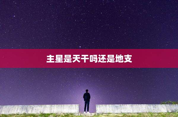 主星是天干吗还是地支