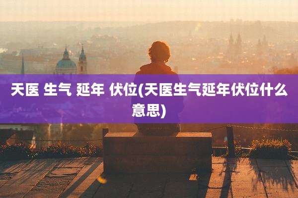 天医 生气 延年 伏位(天医生气延年伏位什么意思)