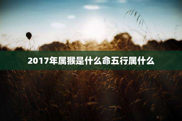 2017年属猴是什么命五行属什么