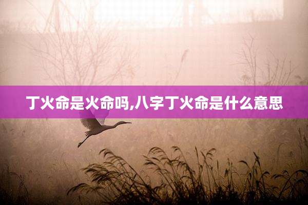 丁火命是火命吗,八字丁火命是什么意思
