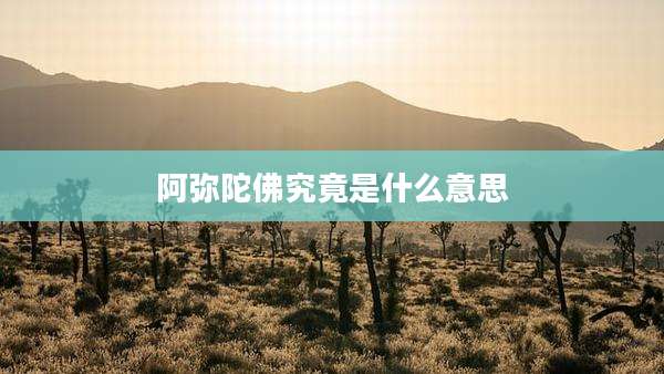 阿弥陀佛究竟是什么意思