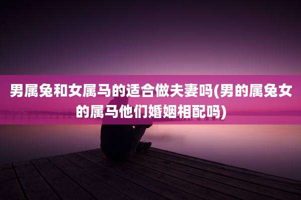 男属兔和女属马的适合做夫妻吗(男的属兔女的属马他们婚姻相配吗)