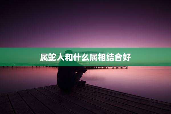 属蛇人和什么属相结合好
