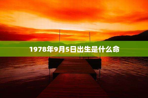 1978年9月5日出生是什么命