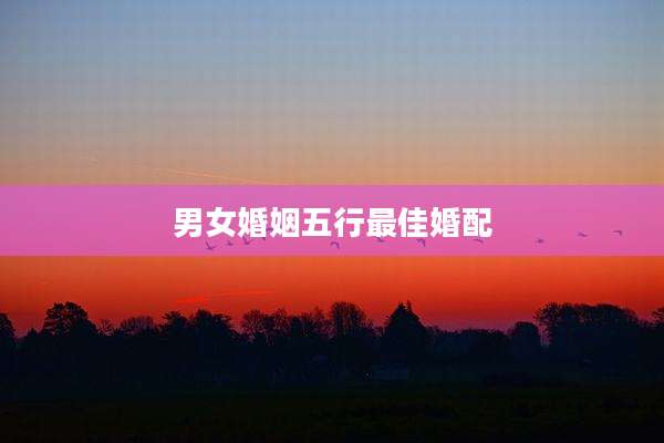 男女婚姻五行最佳婚配