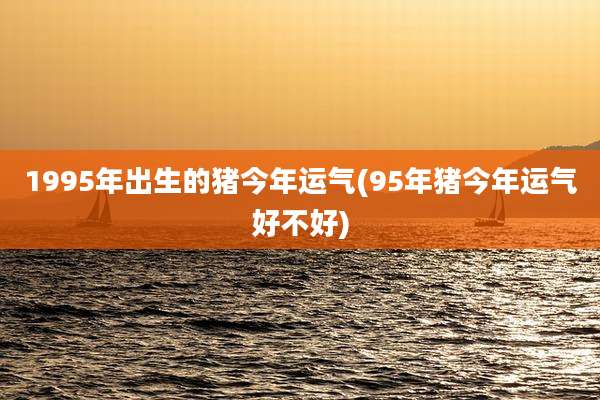 1995年出生的猪今年运气(95年猪今年运气好不好)