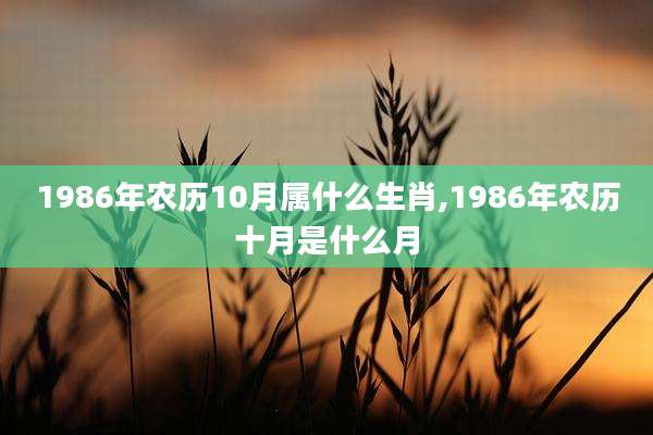 1986年农历10月属什么生肖,1986年农历十月是什么月