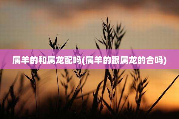 属羊的和属龙配吗(属羊的跟属龙的合吗)