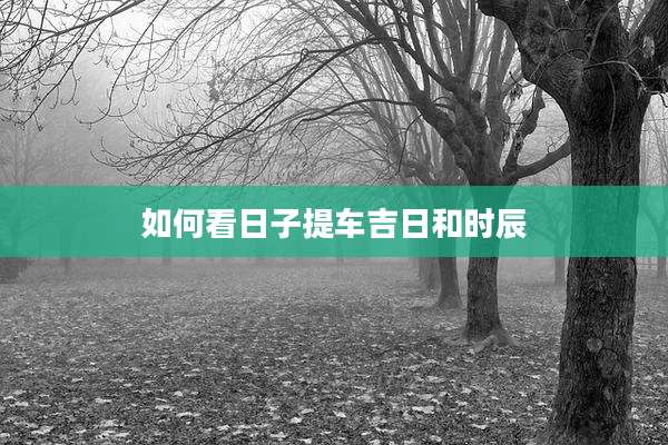 如何看日子提车吉日和时辰