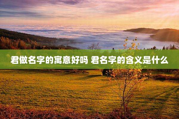 君做名字的寓意好吗 君名字的含义是什么