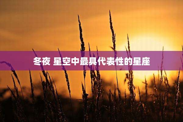 冬夜 星空中最具代表性的星座