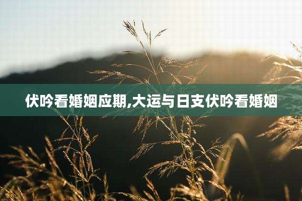 伏吟看婚姻应期,大运与日支伏吟看婚姻