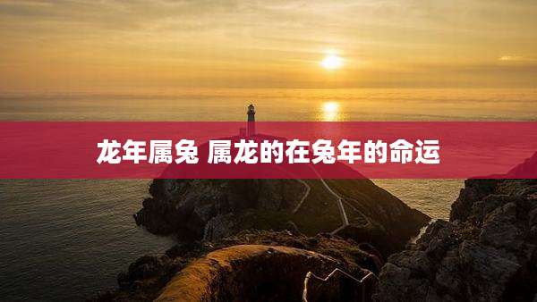 龙年属兔 属龙的在兔年的命运