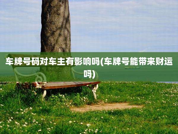 车牌号码对车主有影响吗(车牌号能带来财运吗)