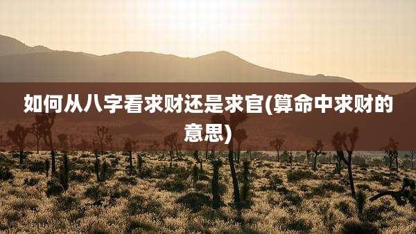 如何从八字看求财还是求官(算命中求财的意思)