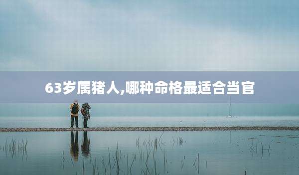 63岁属猪人,哪种命格最适合当官