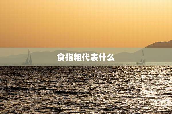 食指粗代表什么